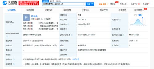 小米斥资20亿在武汉成立企业管理公司，雷军疑似实控人